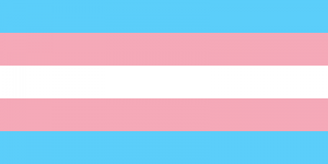 GirlfriendsMeet-Blog-Transgender_Pride_flag