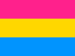 girlfriendsmeet-blog-pansexual-flag