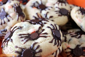 spidercookies4