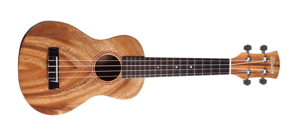 2014-holiday-gift-guide-cat-Ukuleles