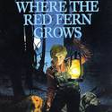 Where the Red Fern Grows