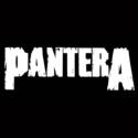 Pantera