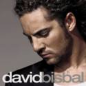 David Bisbal official