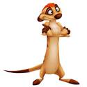 Timon