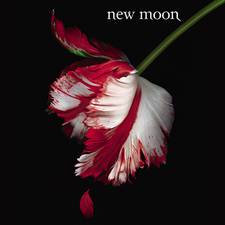 Twilight: New Moon