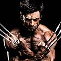 The Wolverine