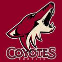 Phoenix Coyotes