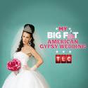 My Big Fat American Gypsy Wedding