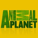 Animal Planet