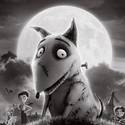 Frankenweenie