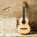 Accoustic Guitar