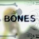 Bones