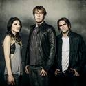 Sick Puppies