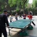 Table Tennis