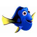 Dory