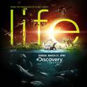 Discovery Channel's Life